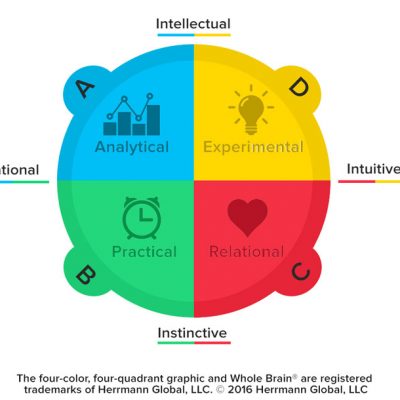 whole-brain-model-2016